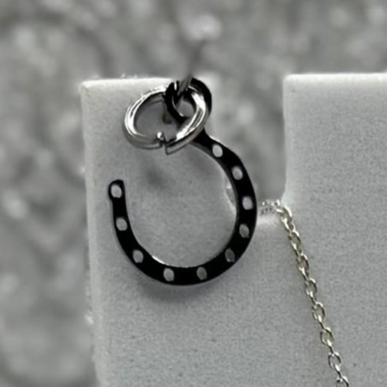 Horseshoe Charms