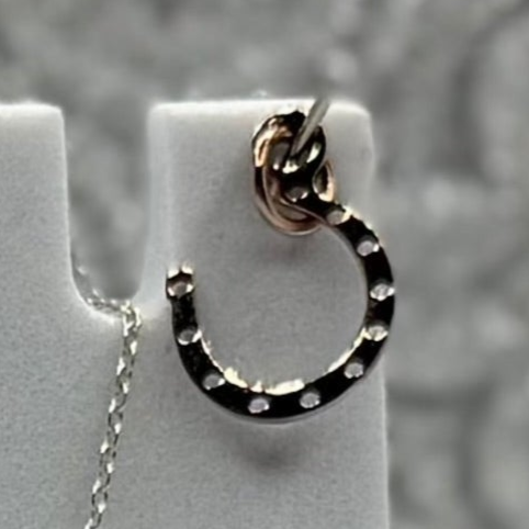 Horseshoe Charms
