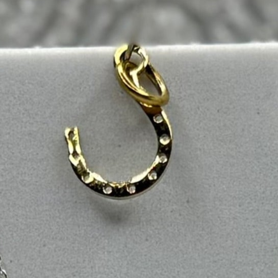 Horseshoe Charms