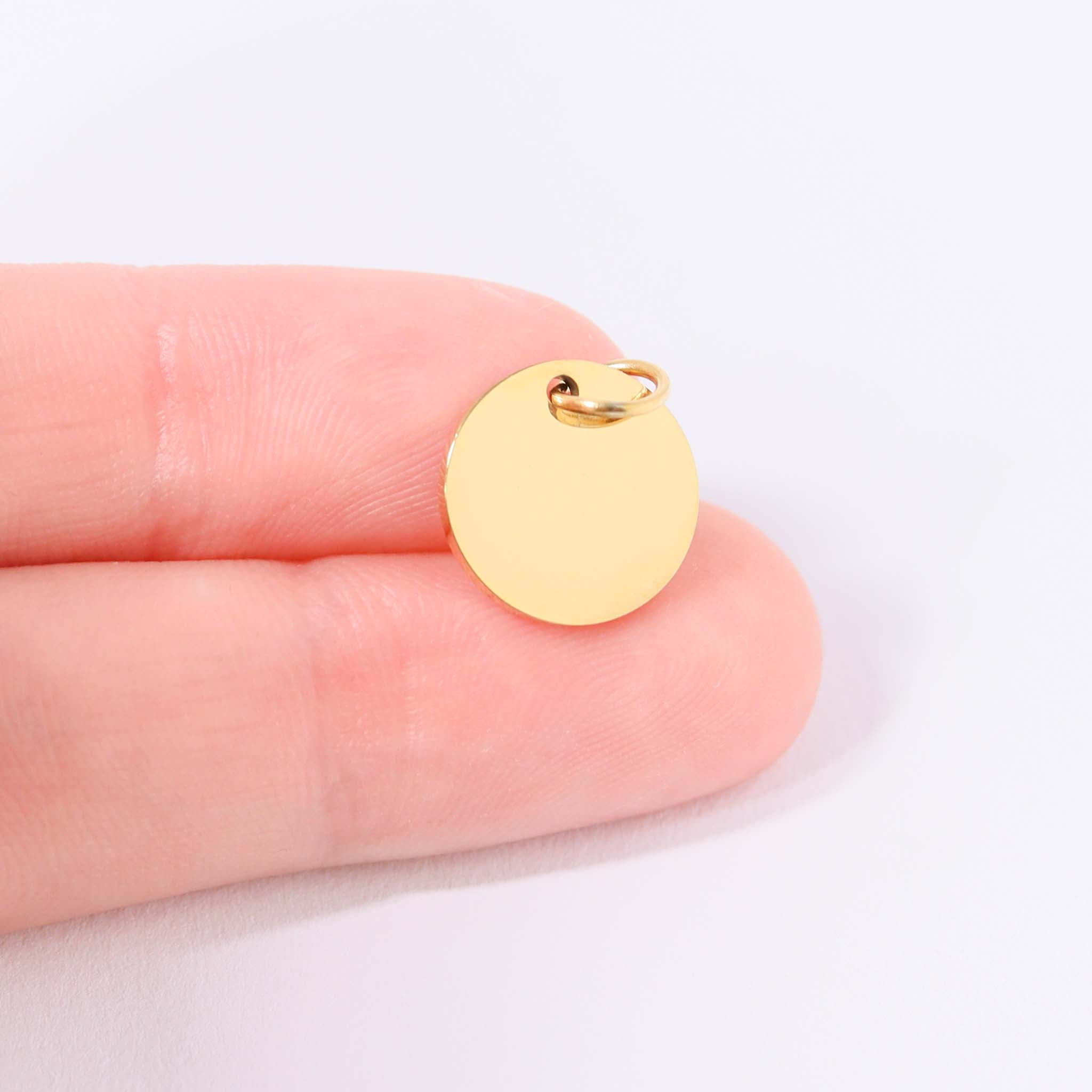 13mm Stainless Steel Disc